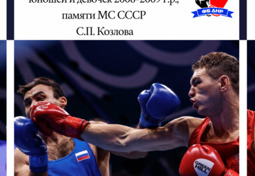 Первенство Донецкой Народной Республики по боксу  среди юношей и девочек 2008-2009