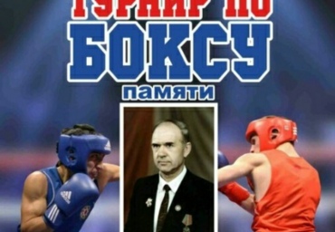 Турнир по боксу памяти О.В. Гуськова